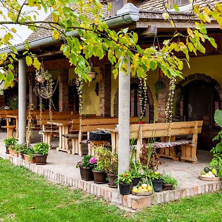 Bed and Breakfast Snasini Kucari Gradiste Экстерьер фото