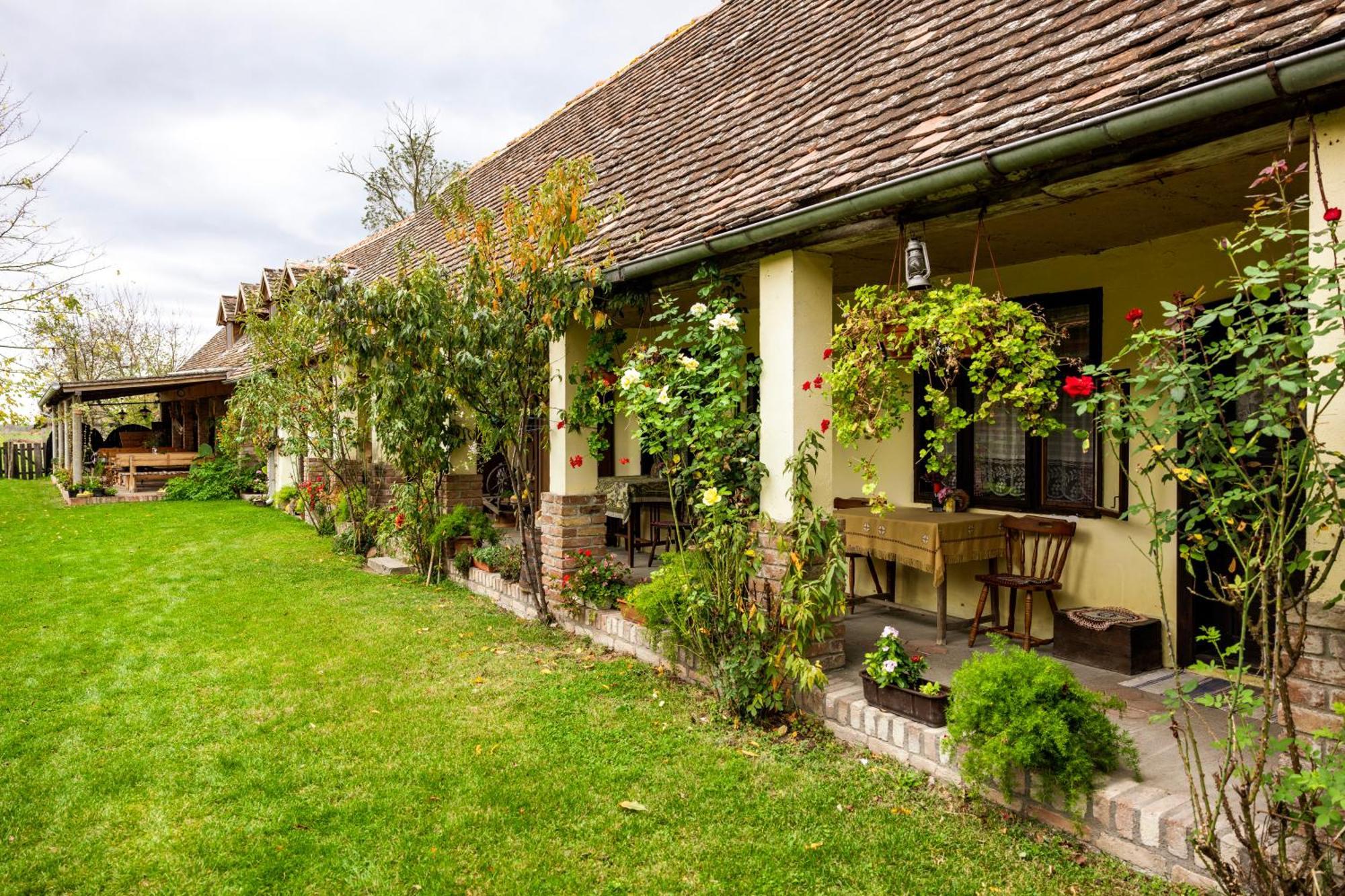 Bed and Breakfast Snasini Kucari Gradiste Экстерьер фото